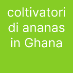 coltivatori di ananas in Ghana