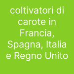 coltivatori di carote in Francia, Spagna, Italia e Regno Unito