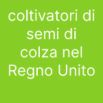 coltivatori di semi di colza nel Regno Unito