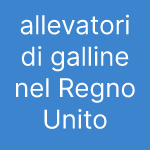 allevatori di galline nel Regno Unito