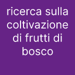 ricerca sulla coltivazione di frutti di bosco