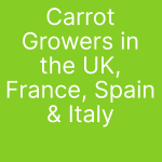 carrot growers in the UK, France, Spain and Italy