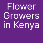 flower growers in Kenya