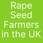 rape seed farmers in the UK