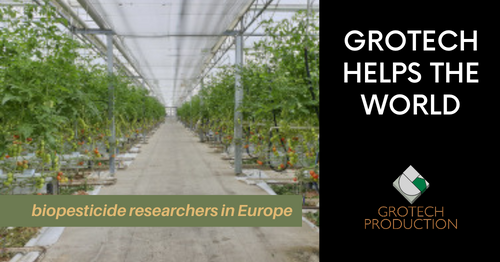 biopesticide-researchers grotech helps the world - crops in greenhouse