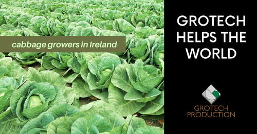 grotech helps the world - field of cabbages