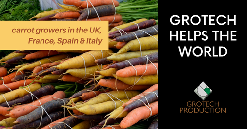 carrot-growers grotech helps the world - pile of carrots
