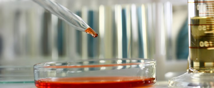 red liquid dye in a petri dish
