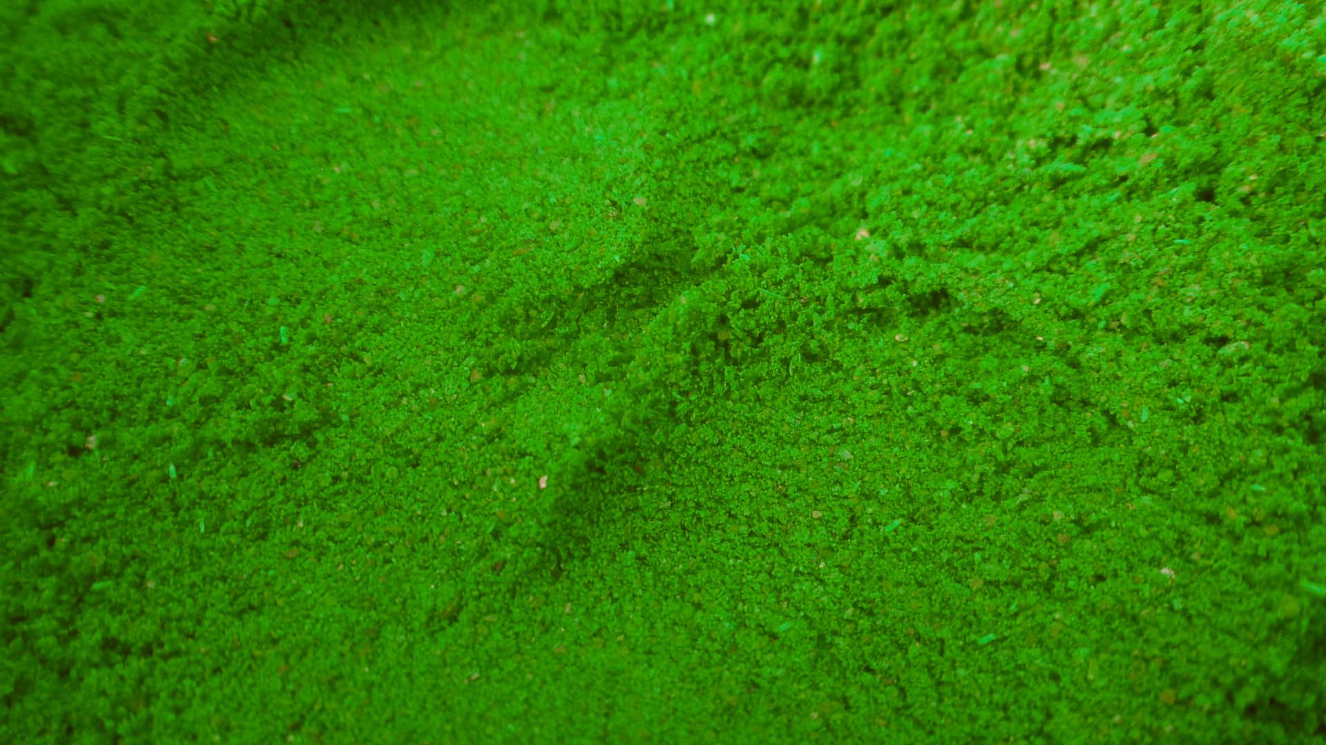 closeup of texture of green powder