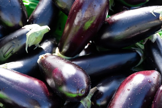 close up of aubergines