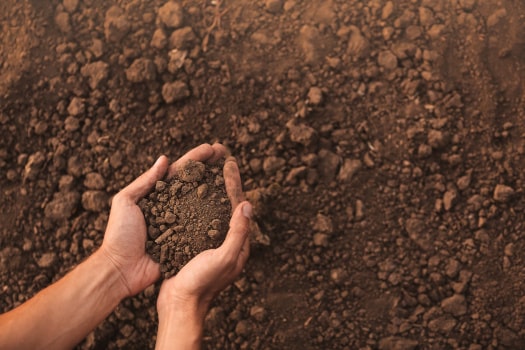 farmer with heap of soil in hand